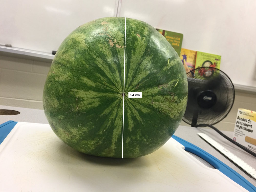 Watermelon Front